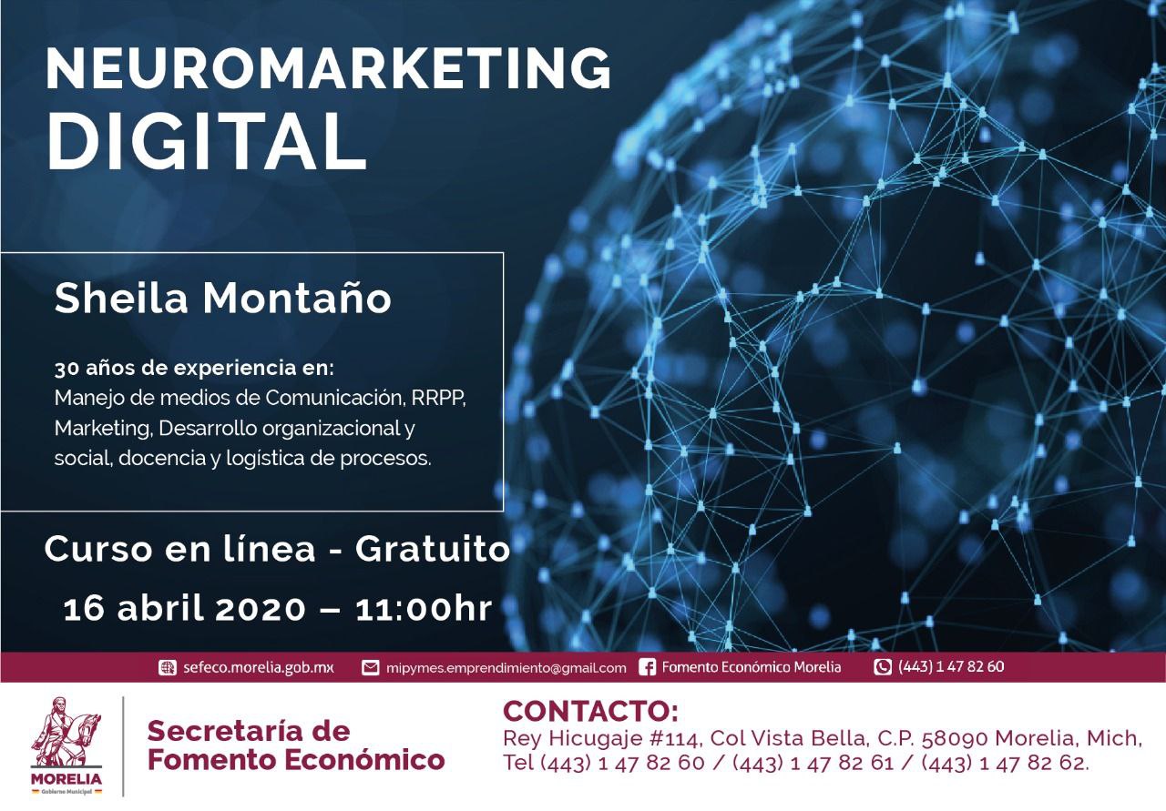  SEFECO invita al curso en línea “Neuromarketing Digital”