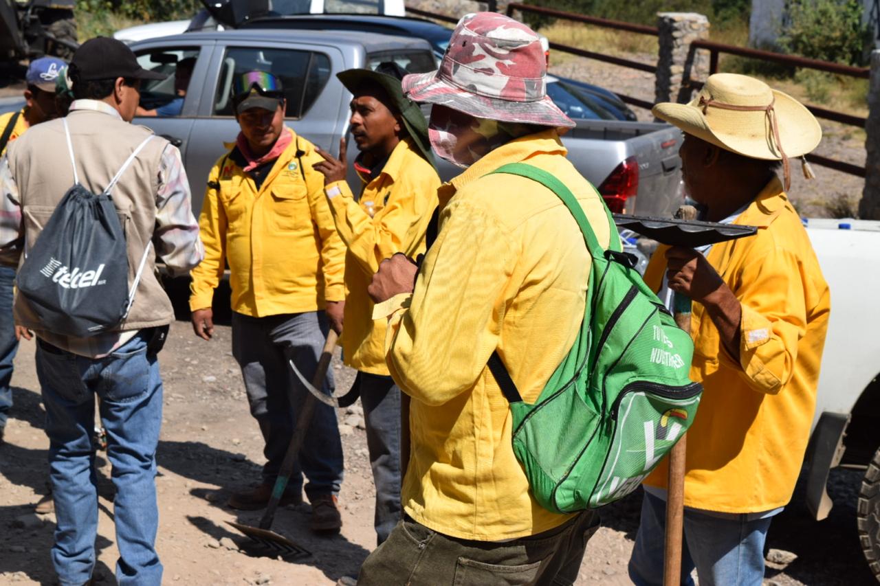  Atienden Cofom, Conafor y Municipio incendio en Tuxpan