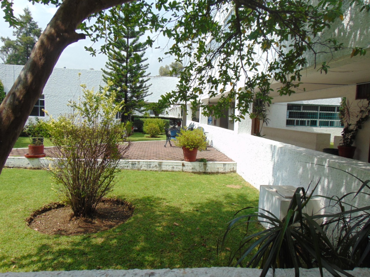  Realiza el IMCED labores de mantenimiento en sus planteles