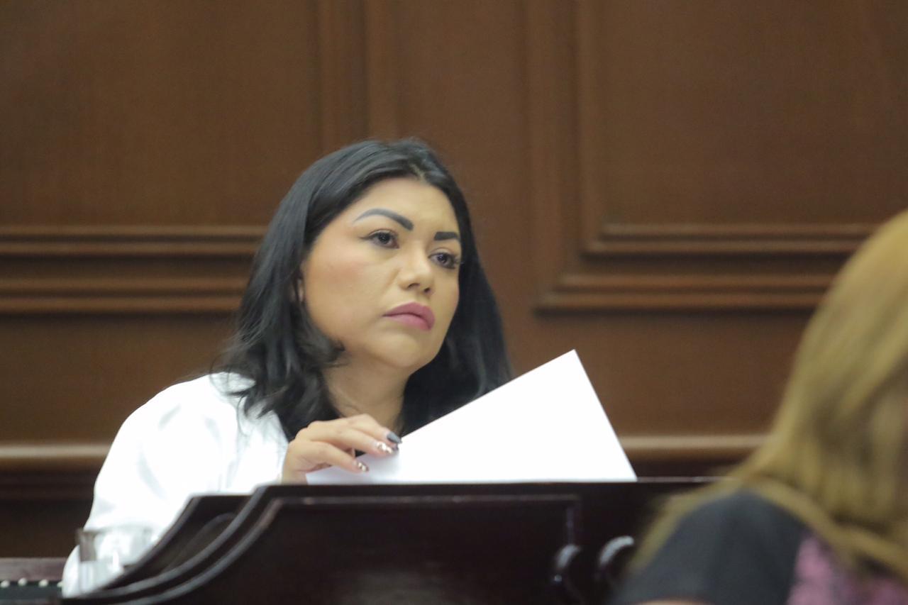 Ley machote hará oídos sordos ante la diversidad de las realidades de Michoacán: Brenda Fraga