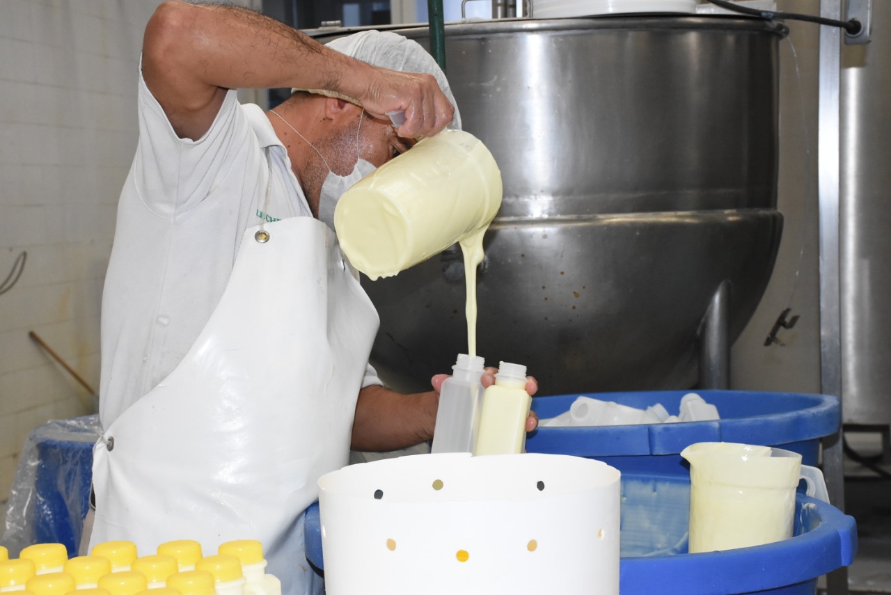  Michoacán, entidad donde más se ha creado empleo