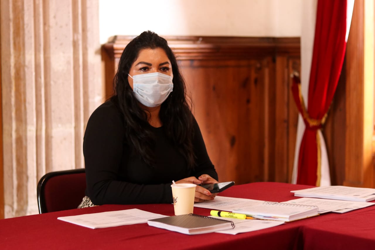  Congreso del Estado no cesará en su lucha para erradicar violaciones a los Derechos Humanos: Brenda Fraga