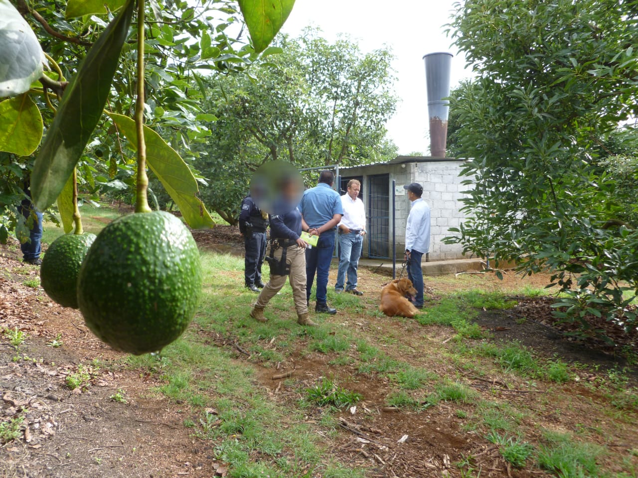  Inspecciona ProAm uso de cañón antigranizo en Madero