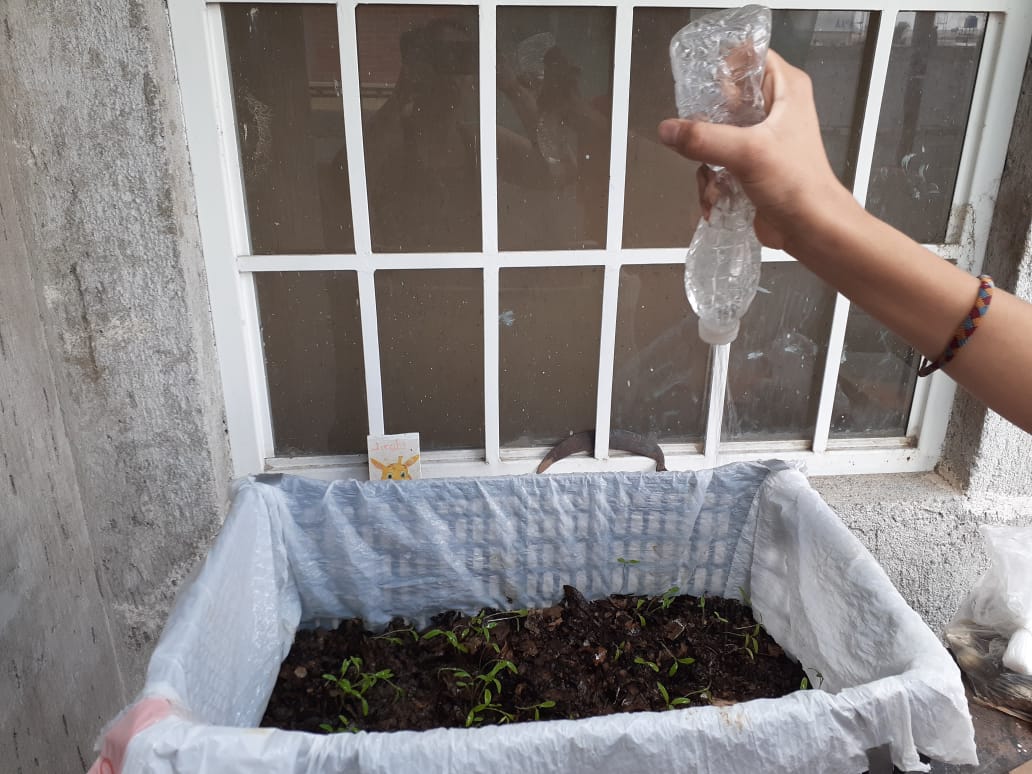  Estudiantes del CECyTEM “pintan de verde su vida” con Foro Ecológico