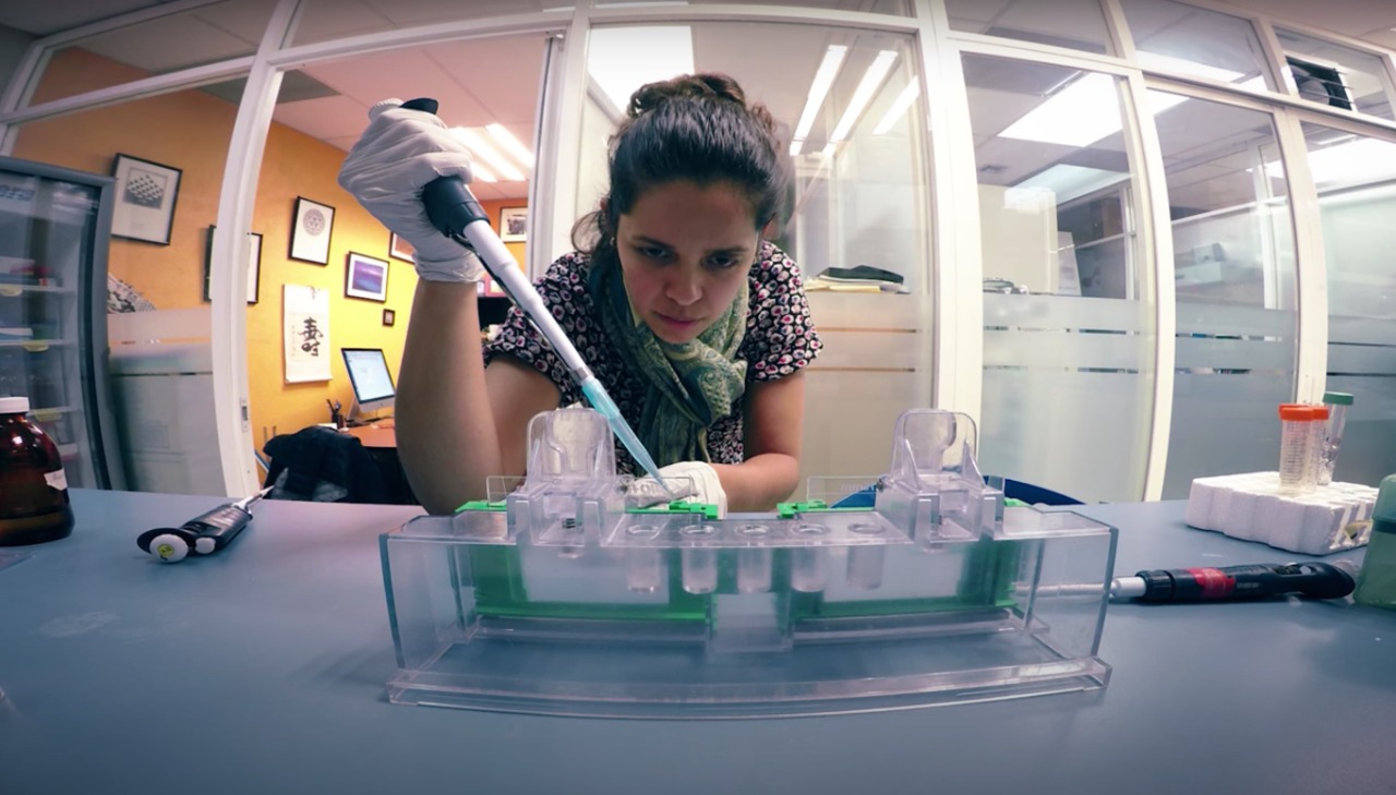  Entrega UMSNH 14 mdp para proyectos de investigación