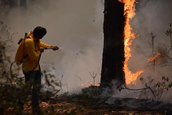  Sin tregua en combate de incendios en Michoacán: Mesa de Coordinación