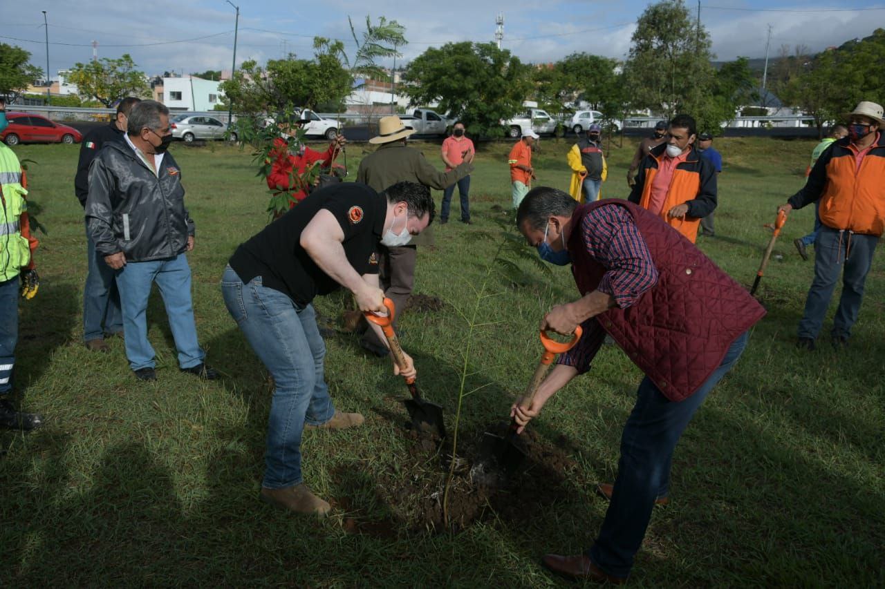  Arranca Raúl Morón primer reforestación urbana 2020, en colonia Francisco Zarco