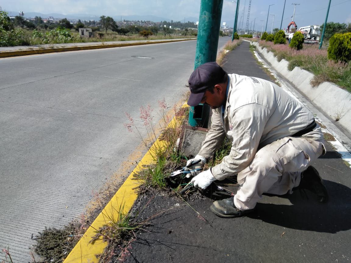  Atiende Gobierno de Morelia reposición de cableado del alumbrado público