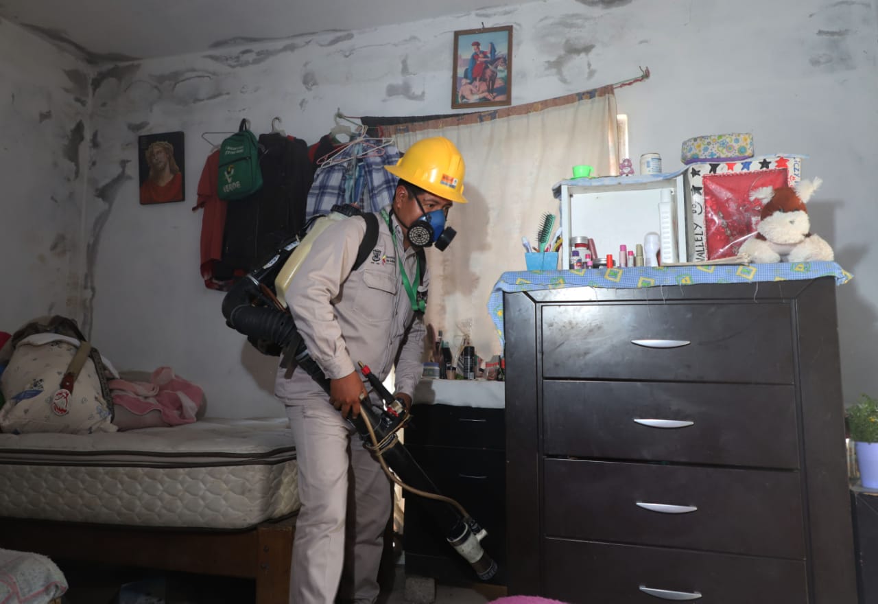  A la baja casos de dengue en Lázaro Cárdenas