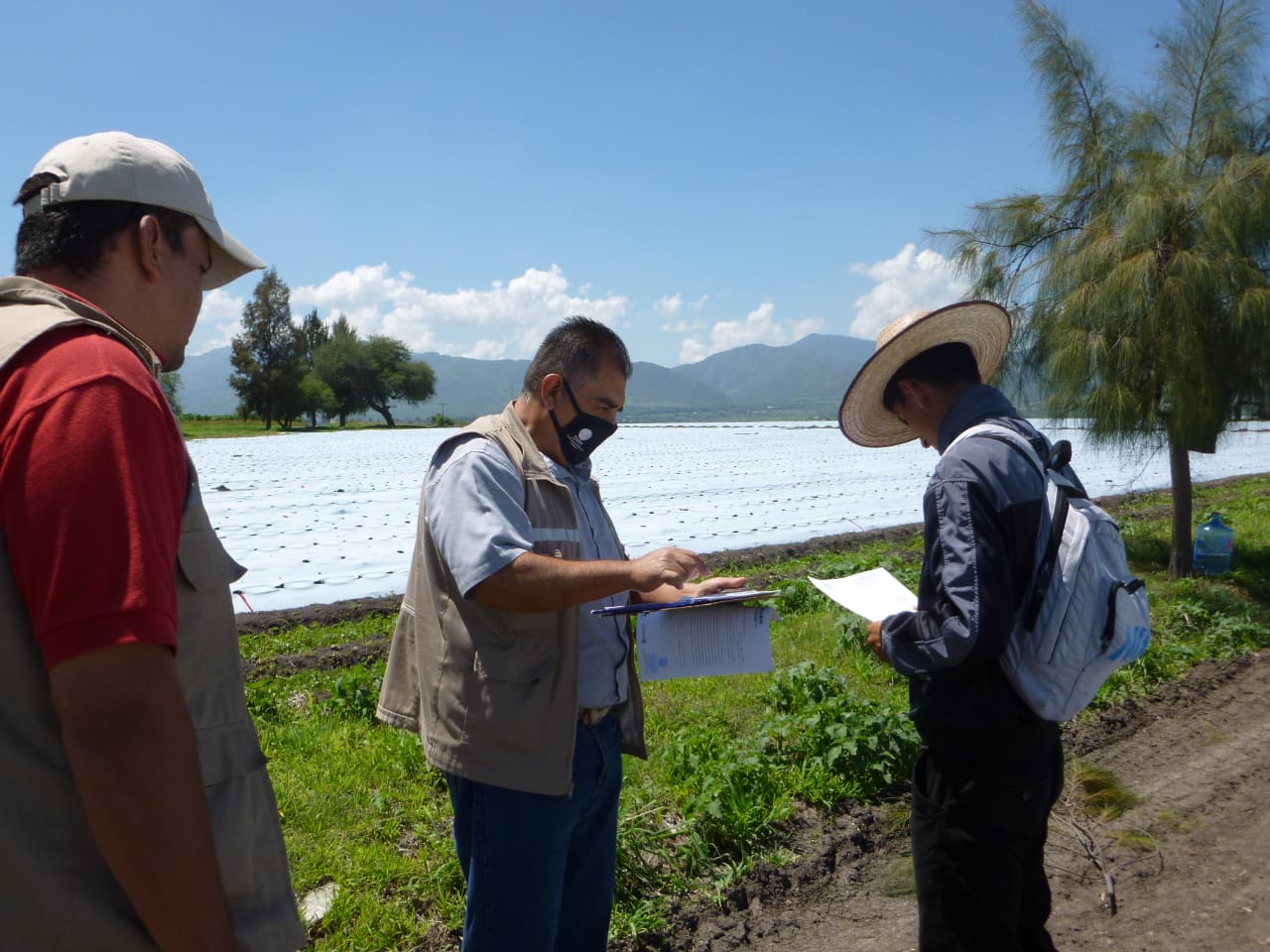  Atiende ProAm denuncia ambiental en Indaparapeo