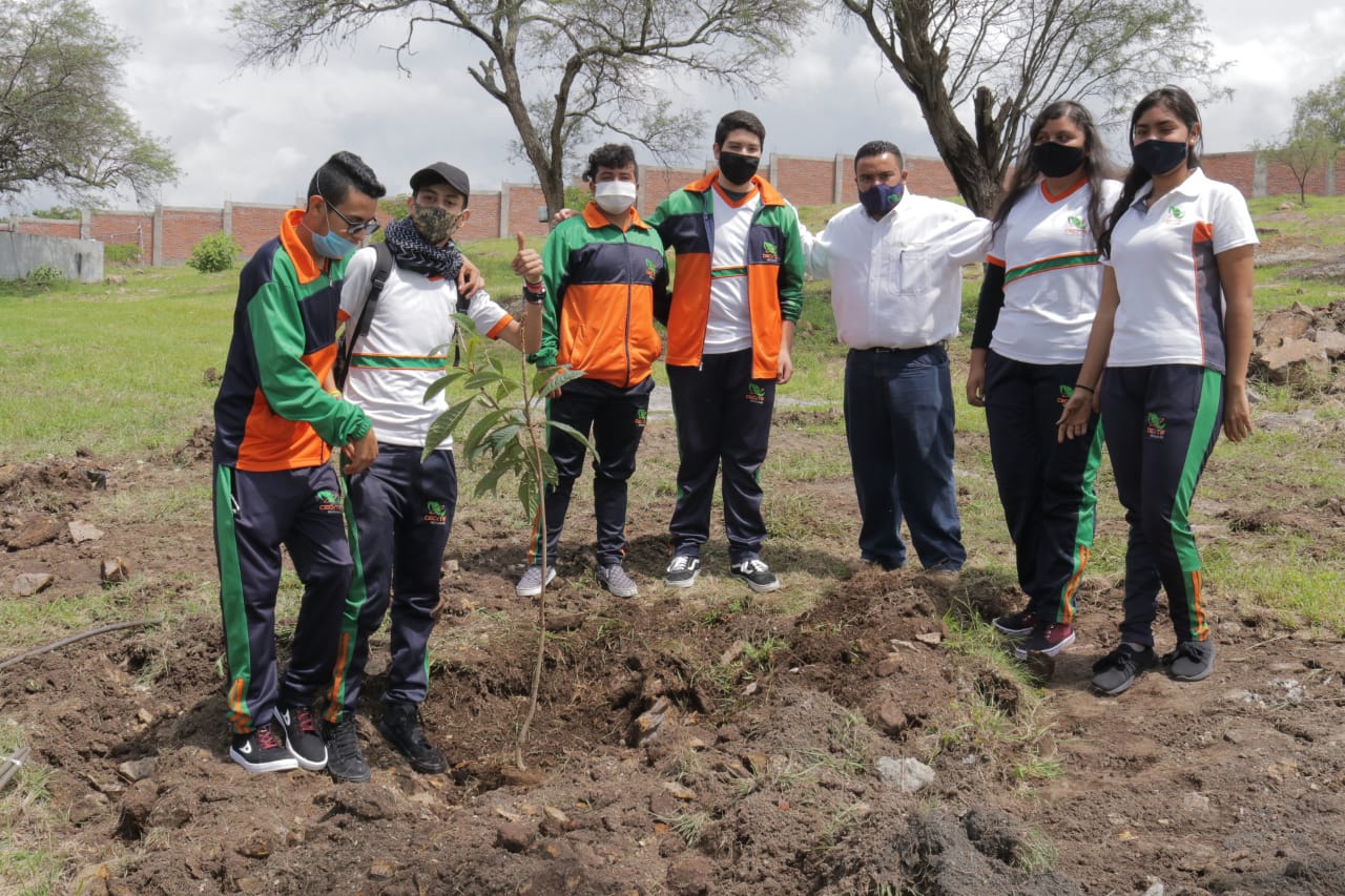  Tiene el CECyTEM un millón de razones para plantar un árbol
