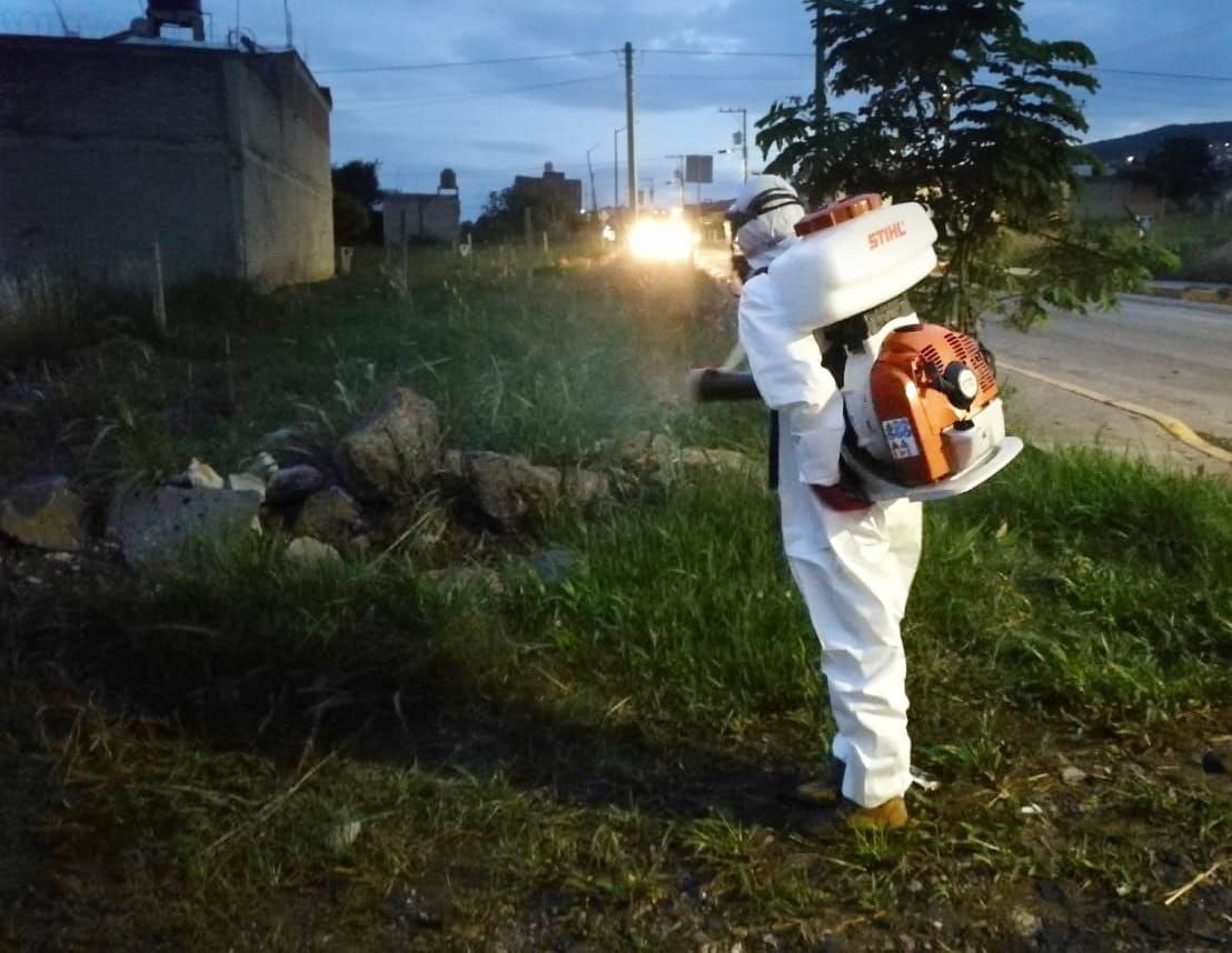  Continúa Gobierno de Morelia con brigadas contra el dengue en el municipio