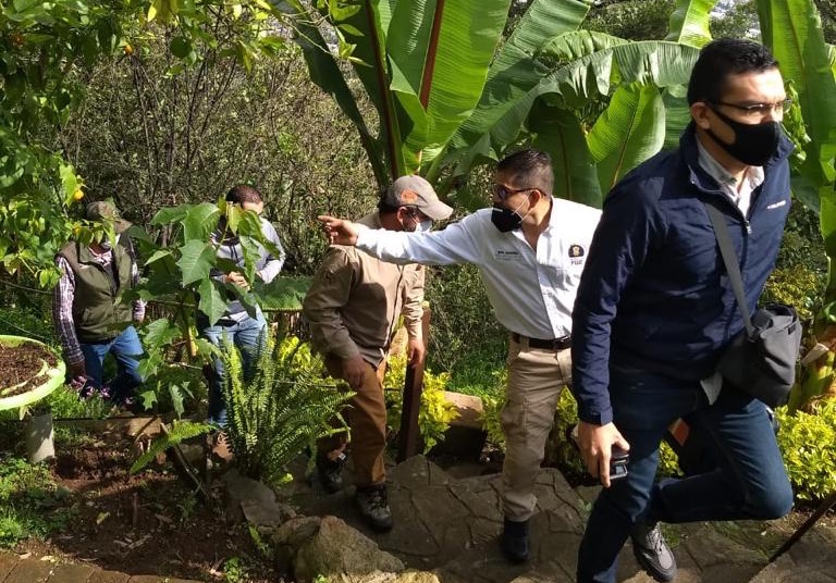  Realiza FGE acciones para posible ubicación de felino silvestre