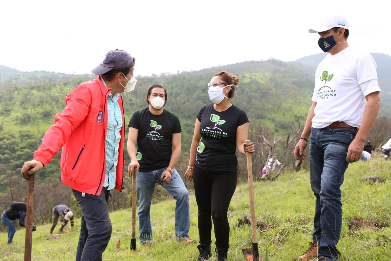 Reforestan medios de comunicación Cerro Verde de Morelia, por segundo año consecutivo