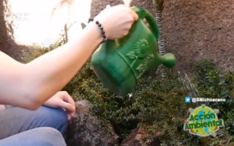 Cuidar, conservar y proteger el agua: responsabilidad de gobierno y sociedad