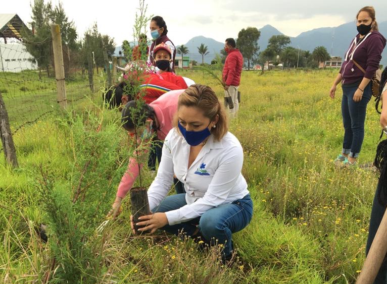 Se unió IMCED a campaña de reforestación