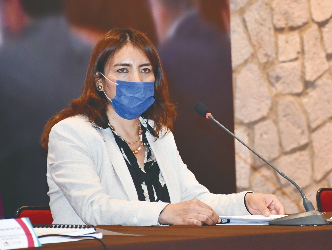  Cuenta SESESP con manual de Organización y Procedimientos