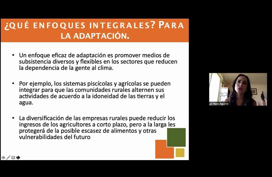 Energías renovables, necesarias para enfrentar el cambio climático