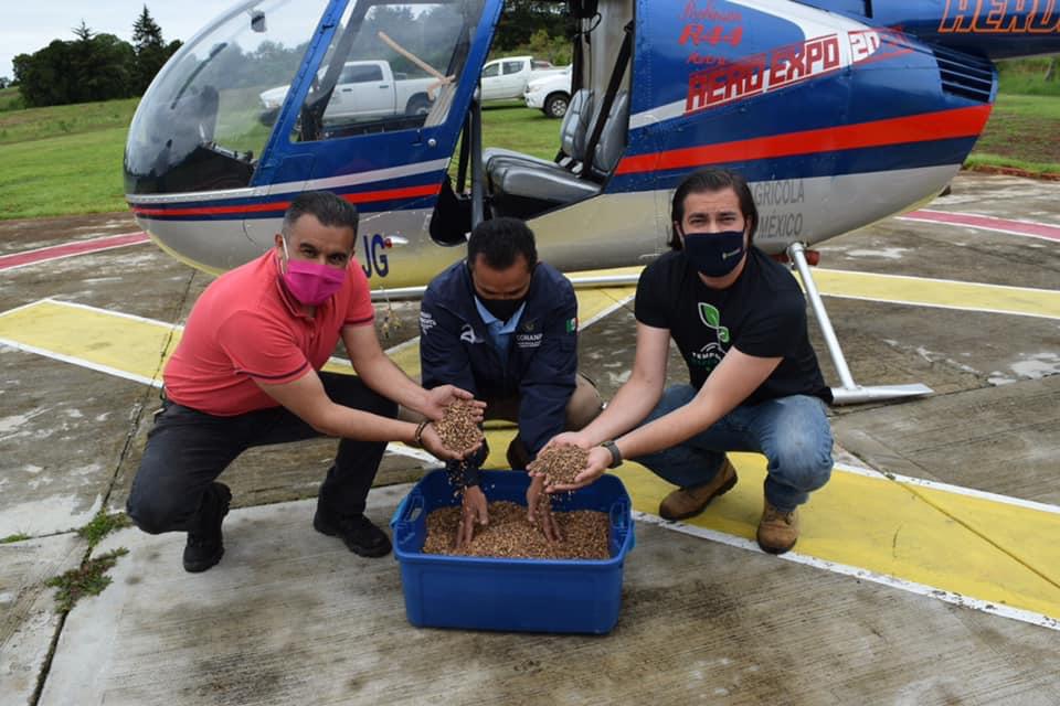  Reforestados 12 millones de árboles en esta temporada