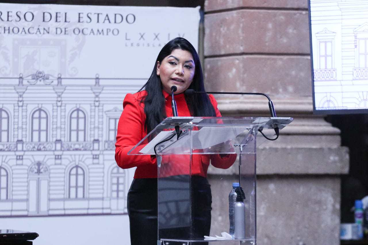  Congreso debe hacer contrapeso a la opacidad y la discrecionalidad, no ser comparsa: Brenda Fraga