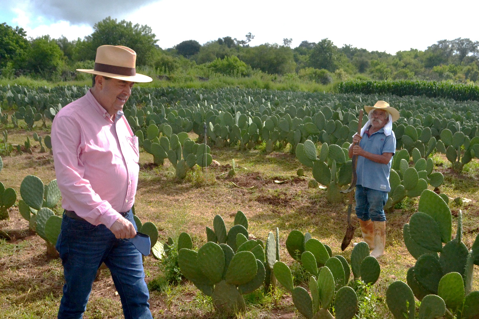  Urge revertir la escasez de agua en el campo: Valentín Rodríguez