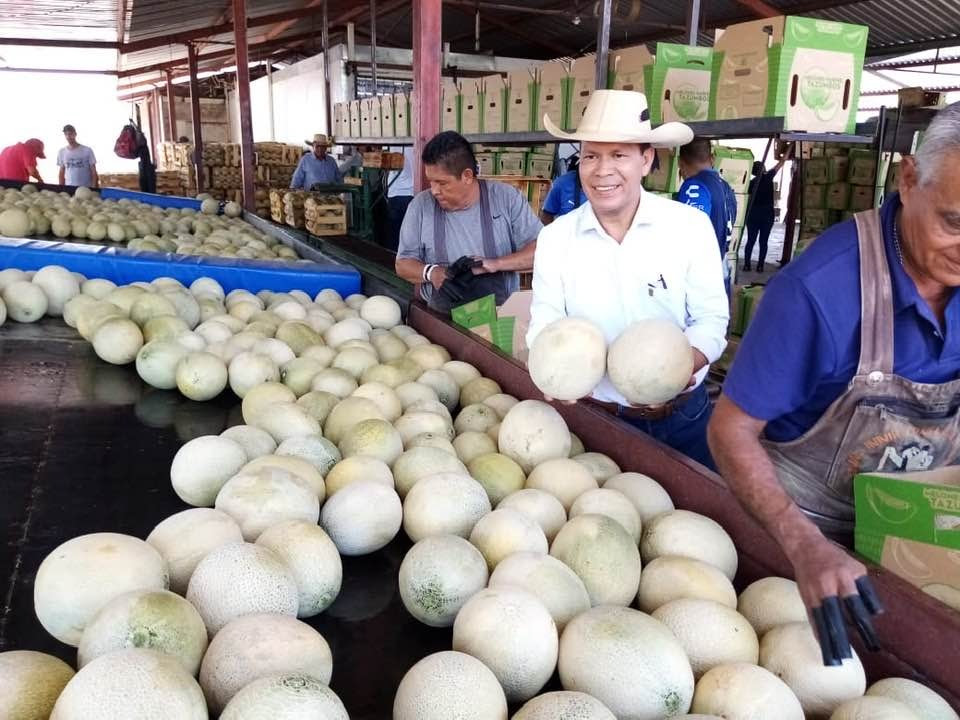  Sanidad e inocuidad agrícola, garantía de excelencia productiva en Michoacán