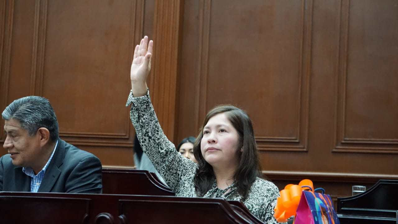 El ecocidio debe estar tipificado en el Código Penal de Michoacán: Laura Granados