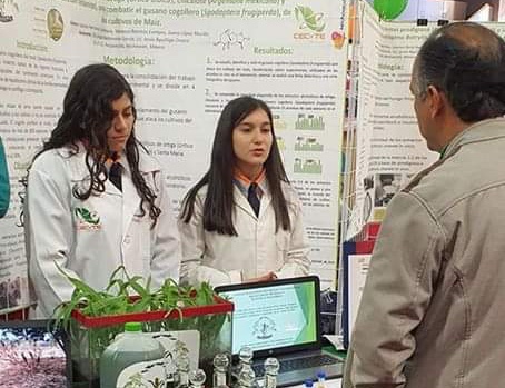  Ganan medalla de oro y plata estudiantes del  CECyTEM en concurso de Ciencia