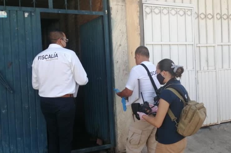  En cateo, asegura FGE 60 ejemplares caninos relacionados en el delito de crueldad animal