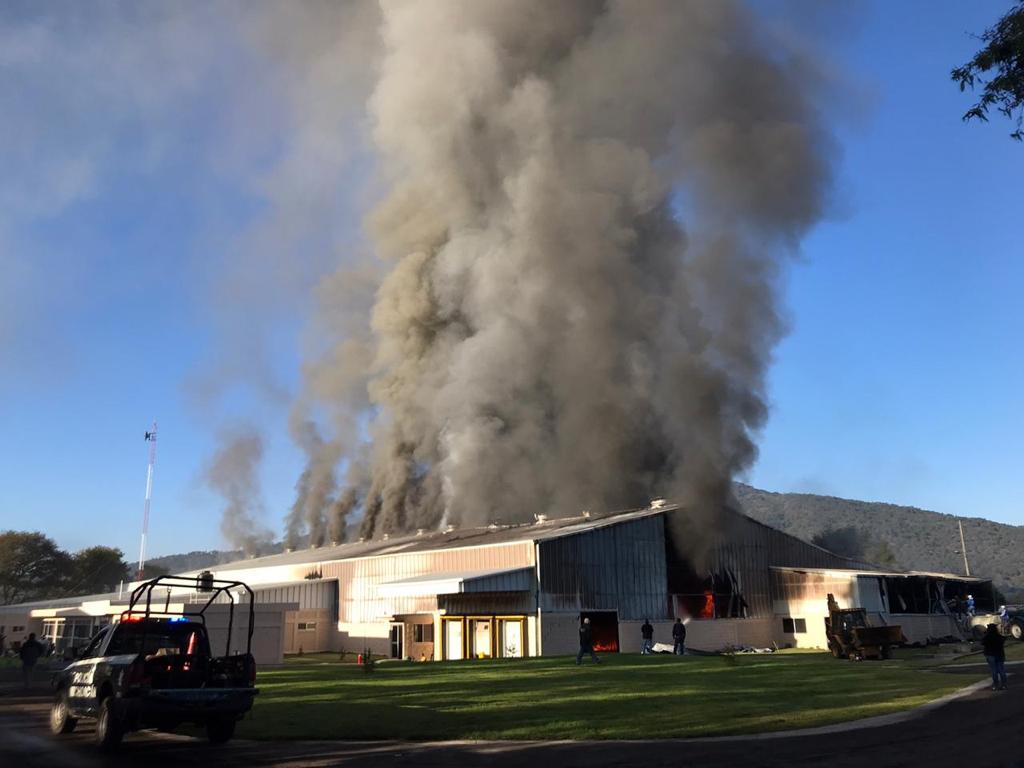  Hombres armados incendian empaques de aguacate en Peribán y Tingüindín