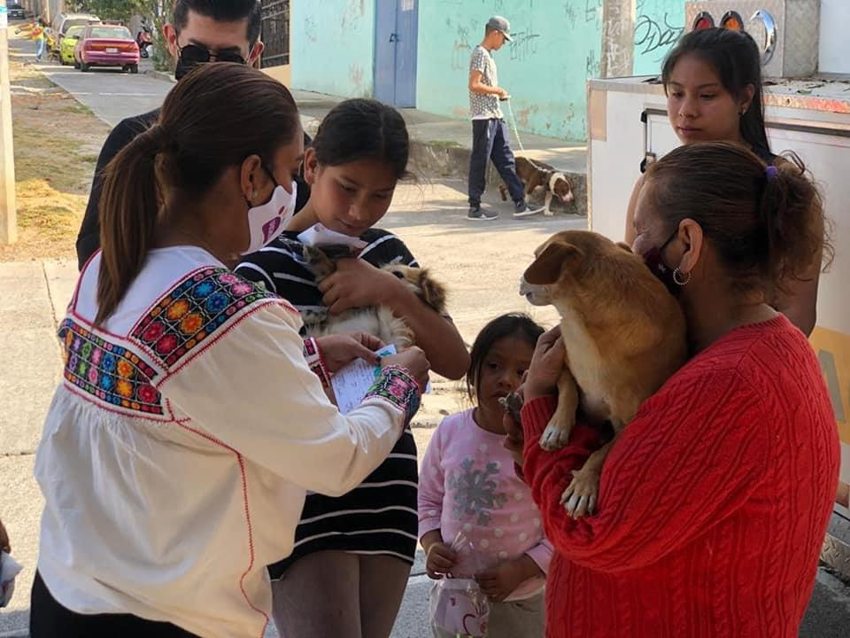  “Uichu” sigue protegiendo la salud de las mascotas