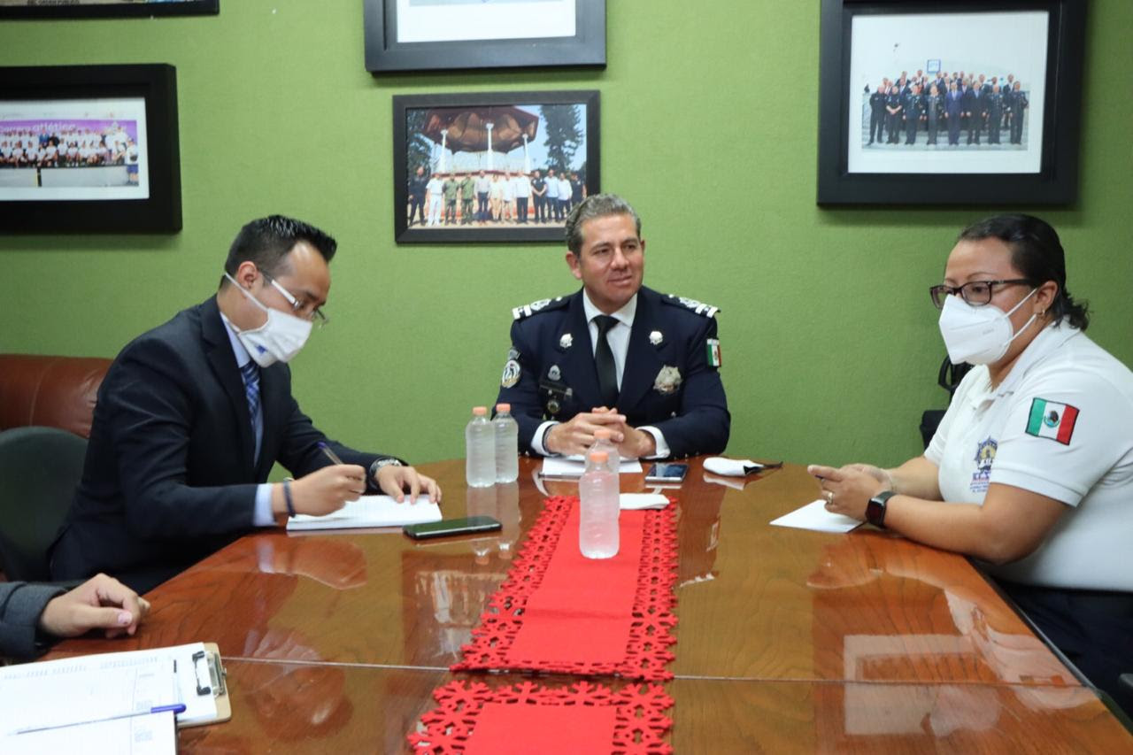  Diseña IEESSPP estrategia de trabajo para el 2021