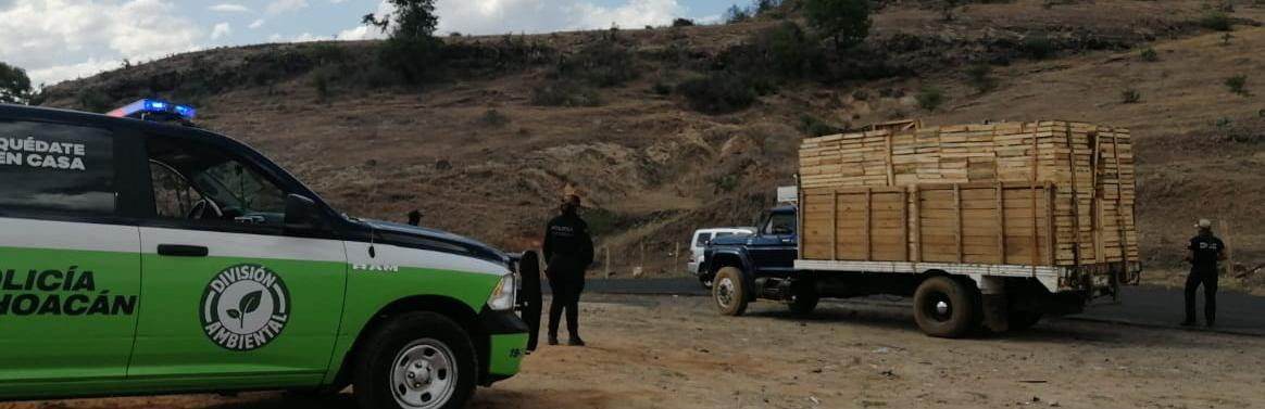  Durante el año, la División Ambiental aseguró más de 330 metros cúbicos de madera