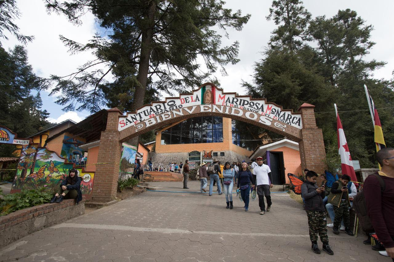  Cierra temporalmente el santuario de la mariposa Monarca El Rosario
