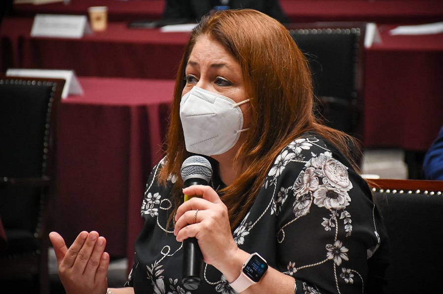  Ley de Gobierno Digital; más necesaria que nunca: Cristina Portillo