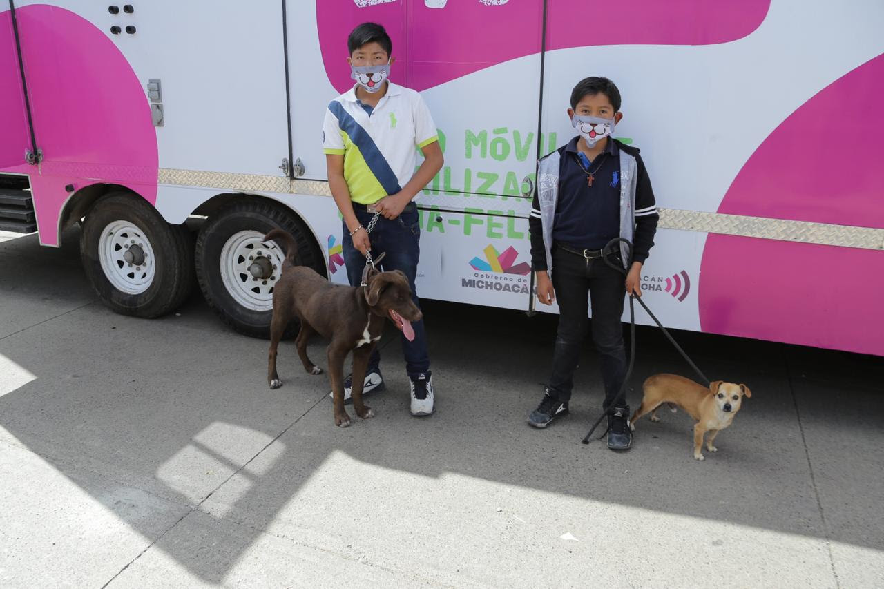  Más de 100 perros y gatos fueron esterilizados en enero