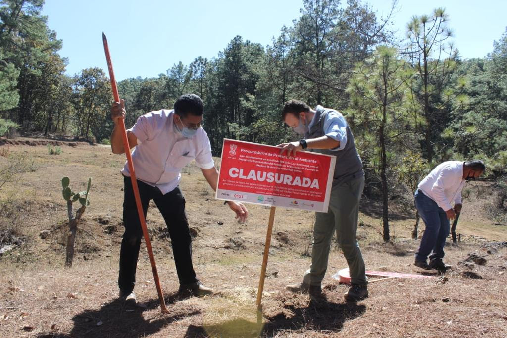  Clausura ProAm Fraccionamiento Campestre Puerta del Bosque