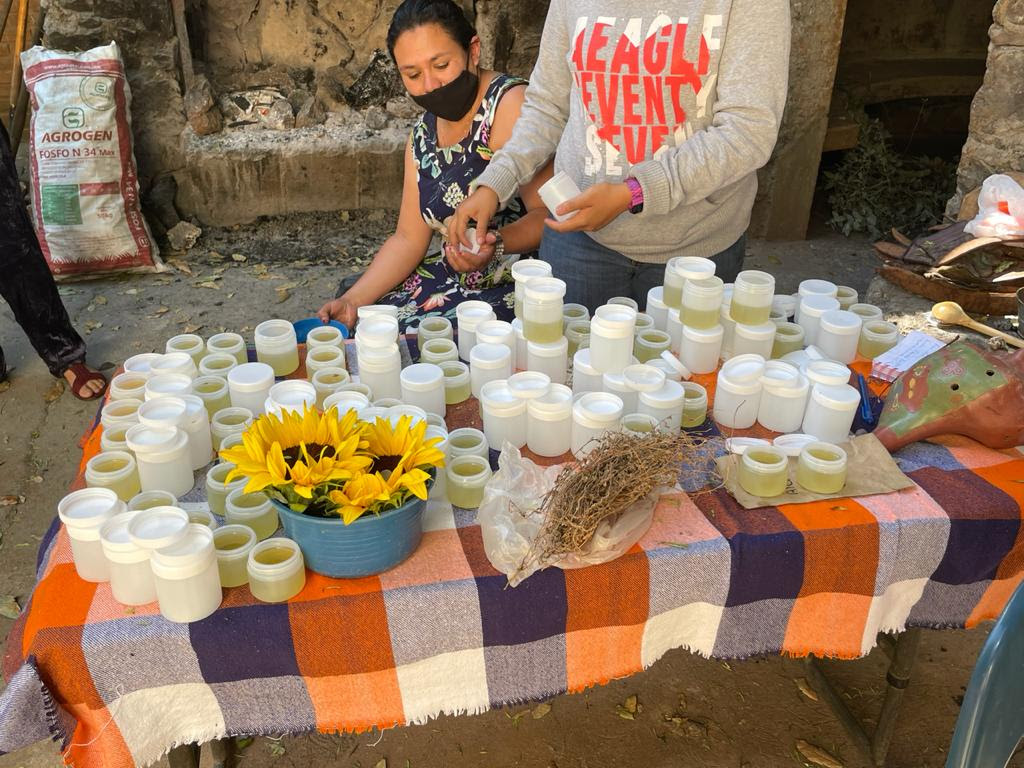  Brinda Gobierno estatal apoyo a la medicina tradicional
