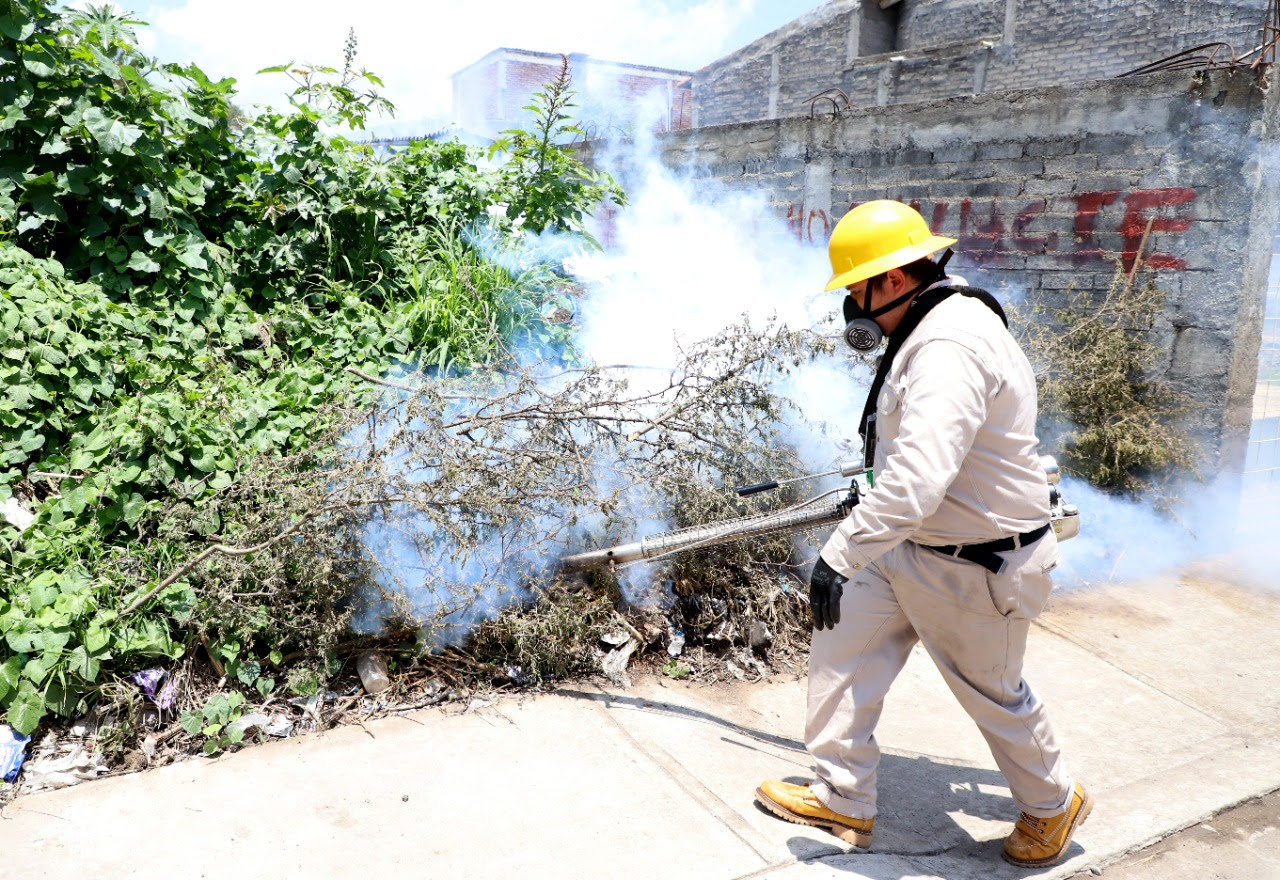  Mantiene SSM acciones de saneamiento para combatir el dengue en el estado