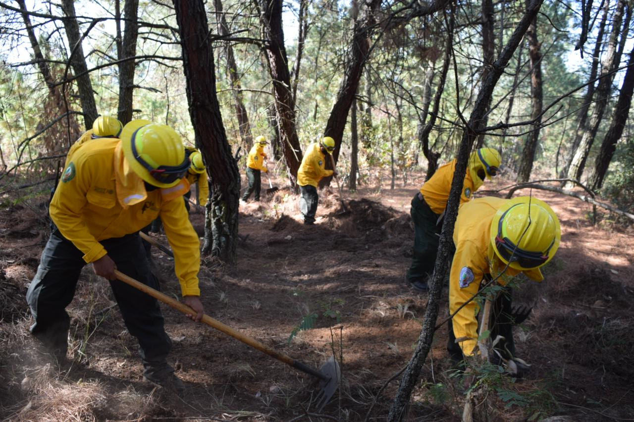  Comunidades y Gobierno hacen frente común contra los incendios forestales