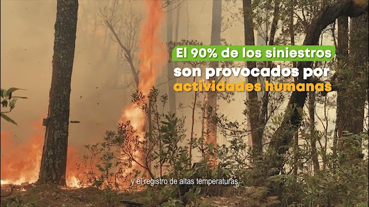  Campaña “No juegues con fuego” busca proteger riqueza forestal en Michoacán