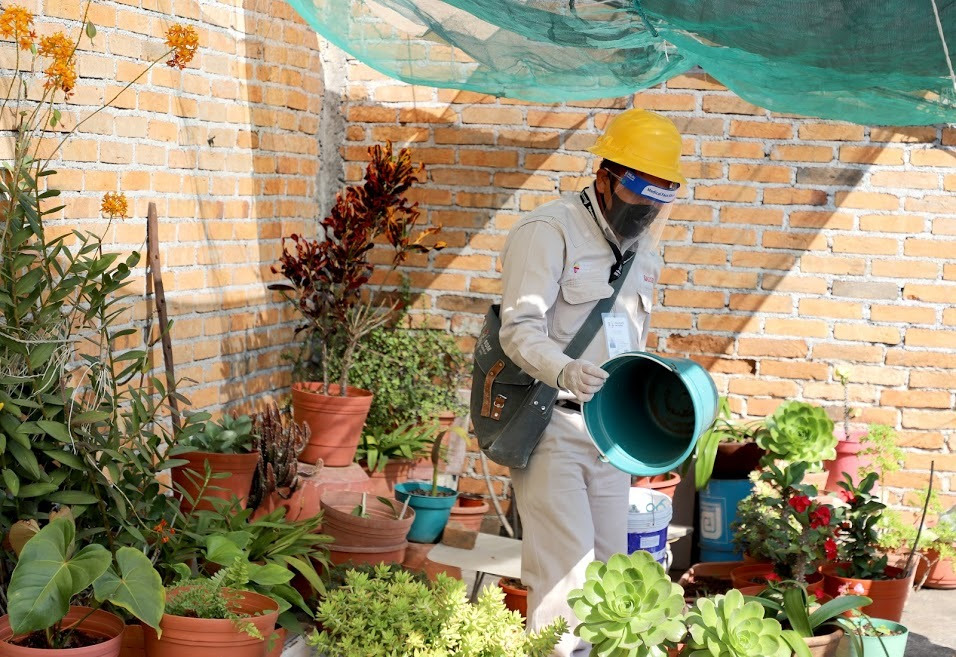  Registra Michoacán reducción del 42.8% de casos de dengue respecto a 2020