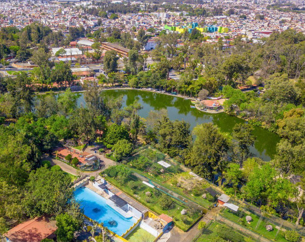  El jueves 11 reabre sus puertas el  Zoológico de Morelia