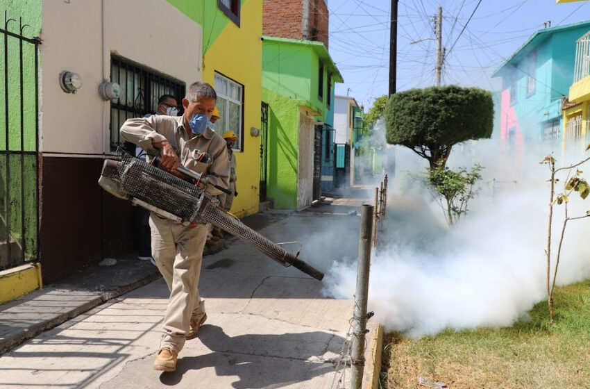 Ha realizado SSM, poco más de 220 mil acciones contra dengue, zika y chikungunya