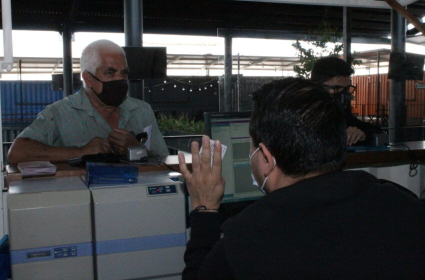 Concluye el 30 de junio condonación en renovación de licencias