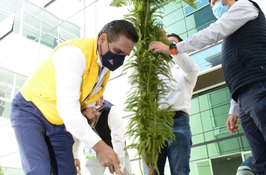  Planta Gobernador árboles en memoria de quienes perdieron la vida por COVID-19