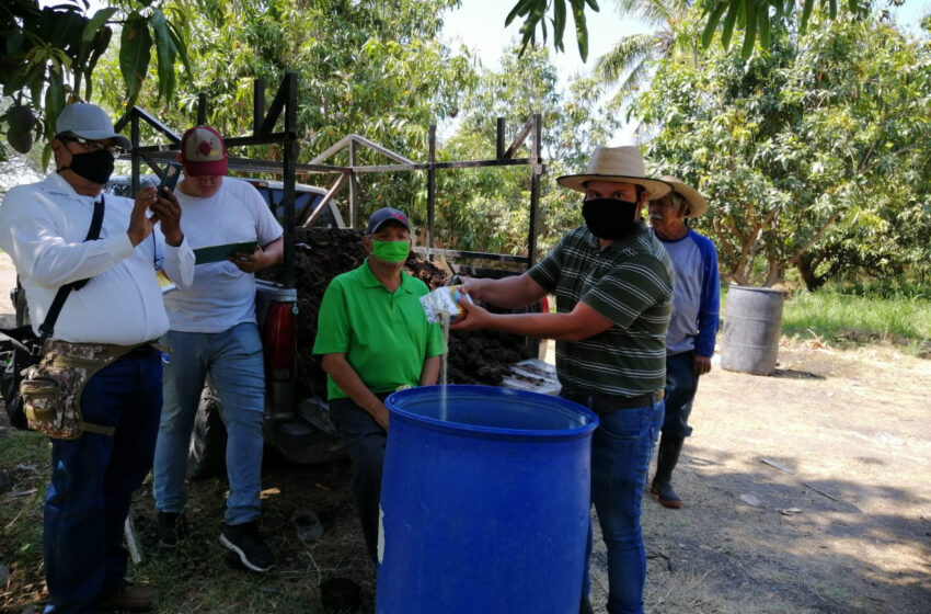 Agricultura Sustentable, el programa que revoluciona el agro michoacano