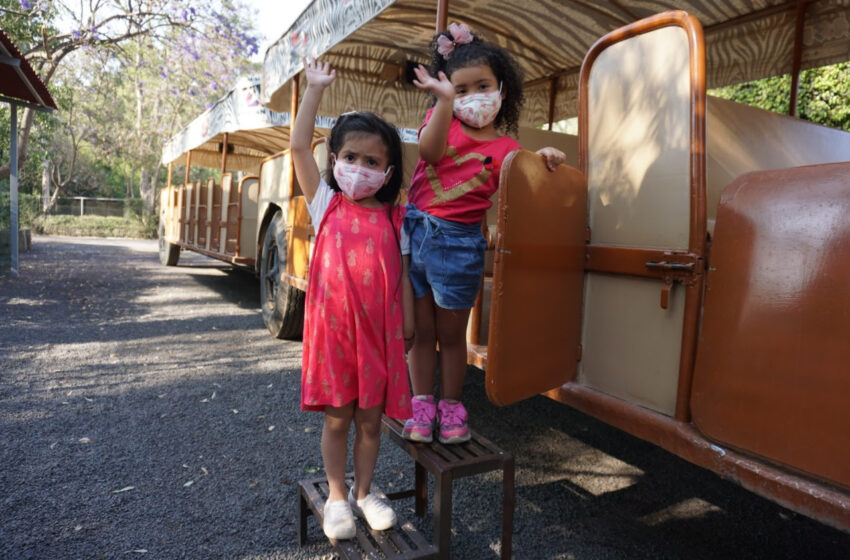 El Zoológico de Morelia, la forma segura de pasar vacaciones de Semana Santa