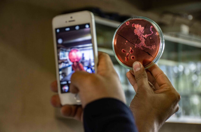 UTM realizará conferencias sobre biotecnología