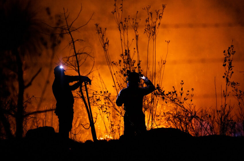 Tras varias horas de labores, brigadistas controlan y apagan incendio en Loma de Santa María
